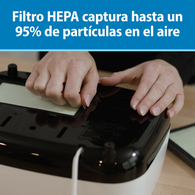 Repuesto de filtro HEPA para Esterilizador Eléctrico, Dr.Brown&